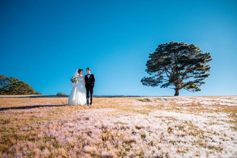 Cặp đôi chụp ảnh cưới lãng mạn trên đồi cỏ hồng Măng Lin. 