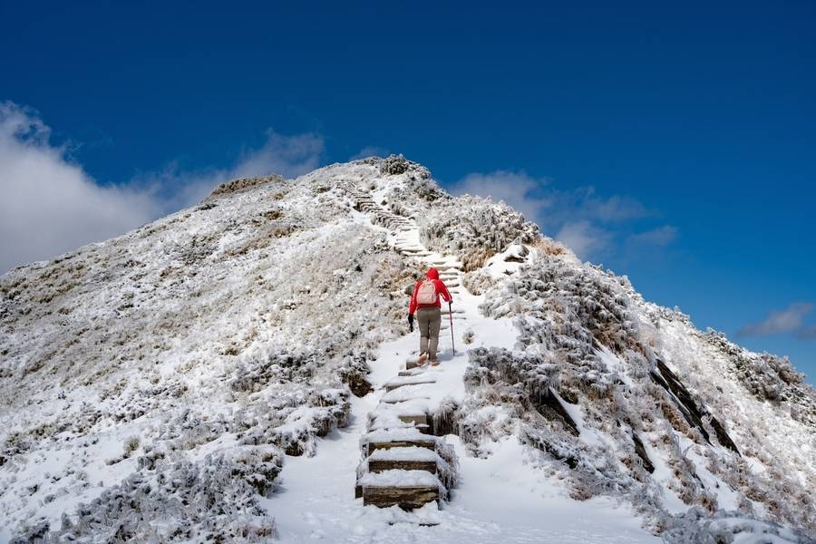 Trekking là hoạt động được đón chờ nhất trong tour khám phá núi Hehuanshan. 
