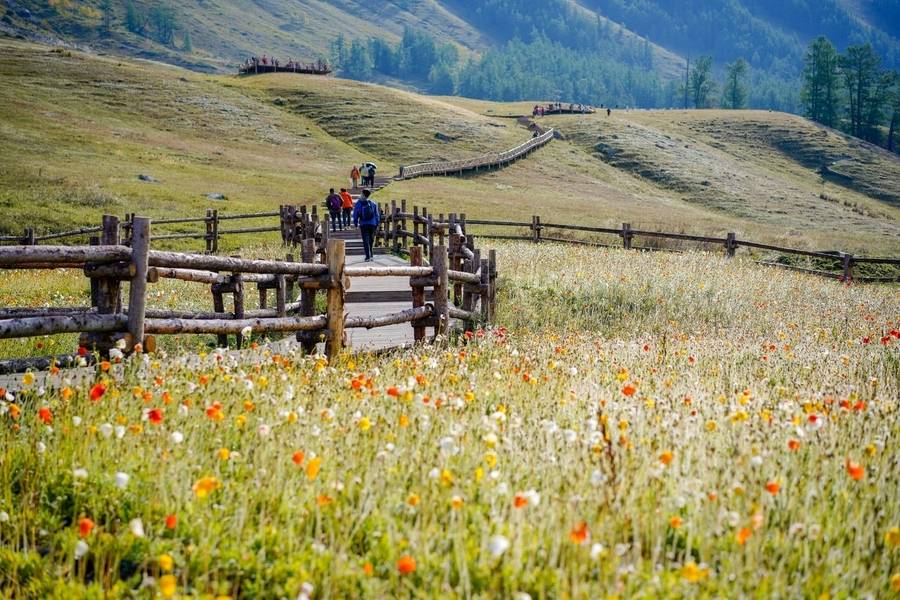 Bao quanh hồ Kanas là những cung đường đi bộ tuyệt đẹp. 