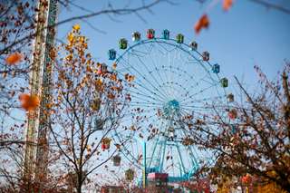 Theme Parks in Singapore: Universal Studios, Sentosa, and Beyond, Traveloka Team
