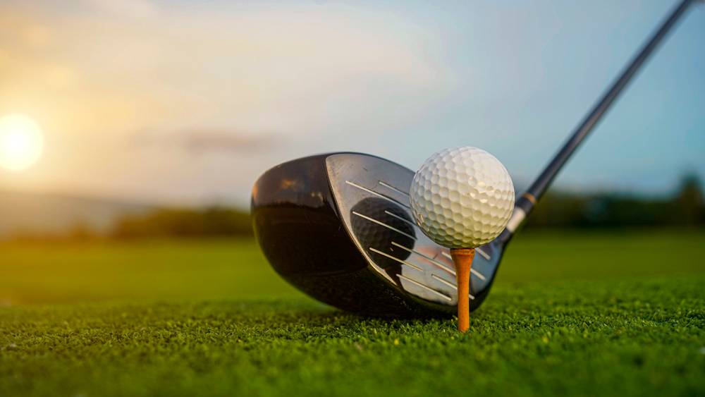 Golf clubs and balls on a green lawn