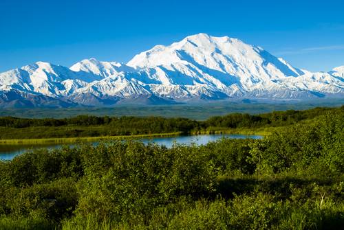 อุทยานแห่งชาติเดนาลี (Denali National Park and Preserve)