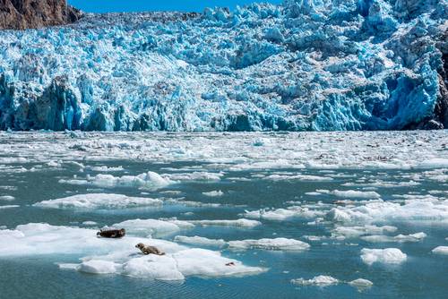 เทรซี่ อาร์ม ฟยอร์ด (Tracy Arm Fjord)