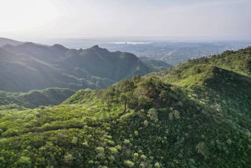 เนินเขามาร์กัลลา (Margala Hills)