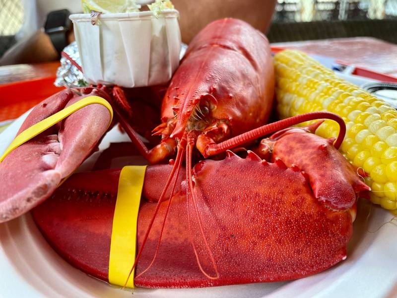 Image uploaded via Godwit Editor - shutterstock_2203054063.jpg