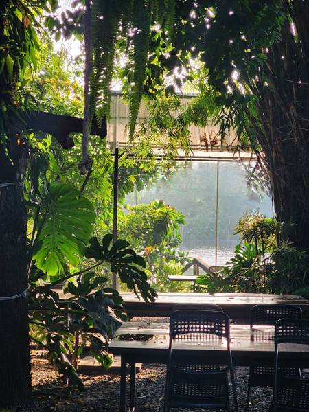 Prem Cafe In the Garden