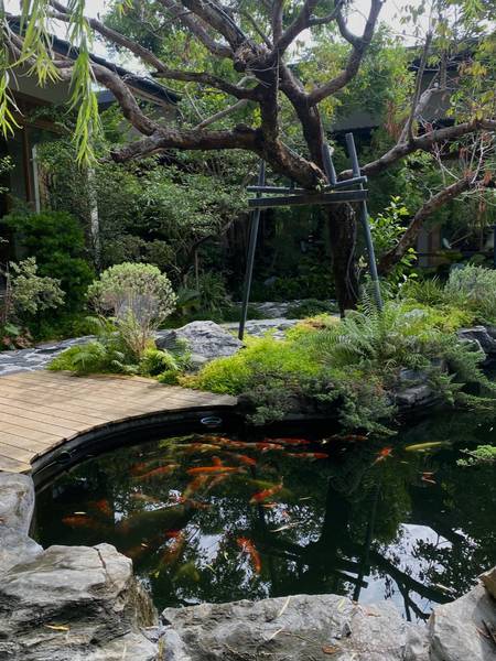 ฤดูกาล Ruedookarn Cafe & Cuisine