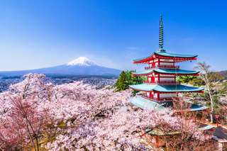 Tokyo 5 Days Itinerary: Day Trips & Hidden Neighborhoods
, Global Traveller