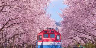 Khám phá Hannam - Khu phố thời thượng ở Seoul, Traveloka VN