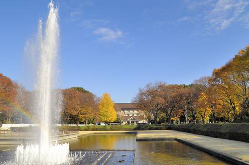 Tokyo National Museum (พิพิธภัณฑ์แห่งชาติโตเกียว)