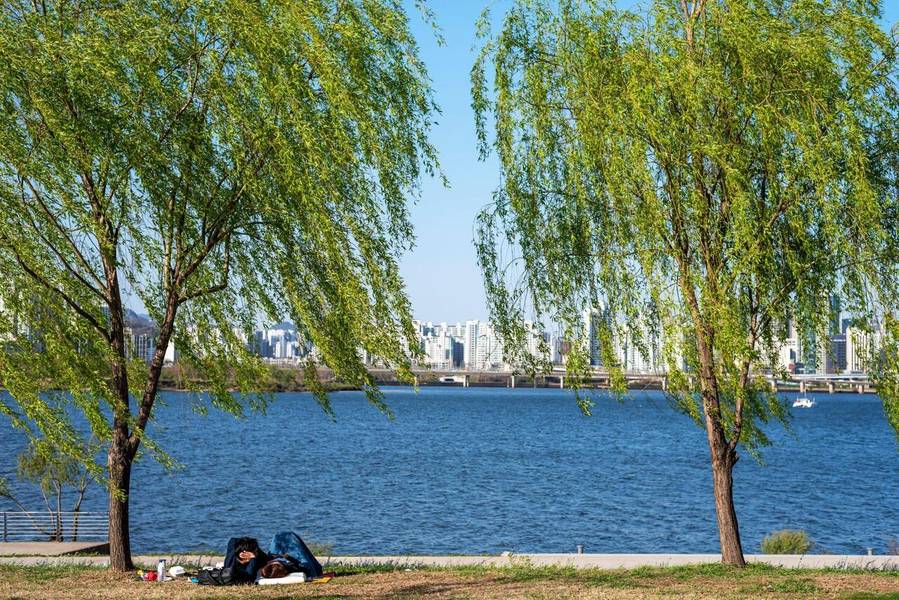 Sông Hàn với vẻ đẹp bình yên.