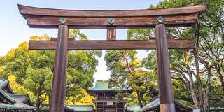 Đền Meiji Jingu: Toạ độ du lịch tâm linh hấp dẫn nhất Tokyo, Traveloka VN