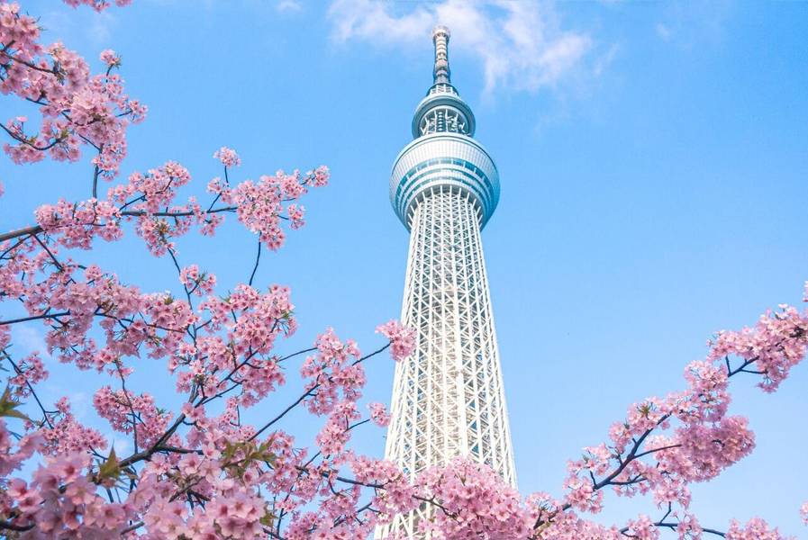 Tháp Tokyo Skytree là điểm đến đáng trải nghiệm trong chuyến du lịch Tokyo. 