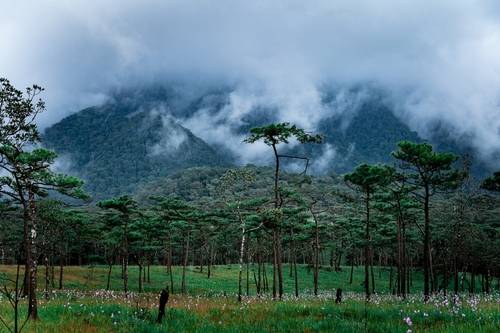 ภูสอยดาว อุตรดิตถ์