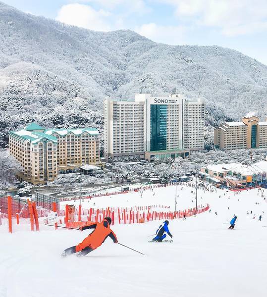 Vivaldi Park Ski World có 10 hệ thống đường trượt phù hợp cho các cấp độ.