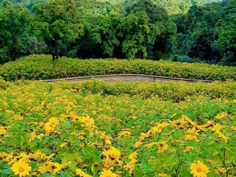 thoi diem ngam hoa da quy ba vi