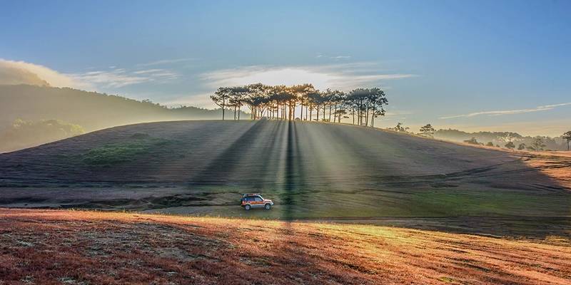 Cỏ Hồng Đà Lạt đồi Masara