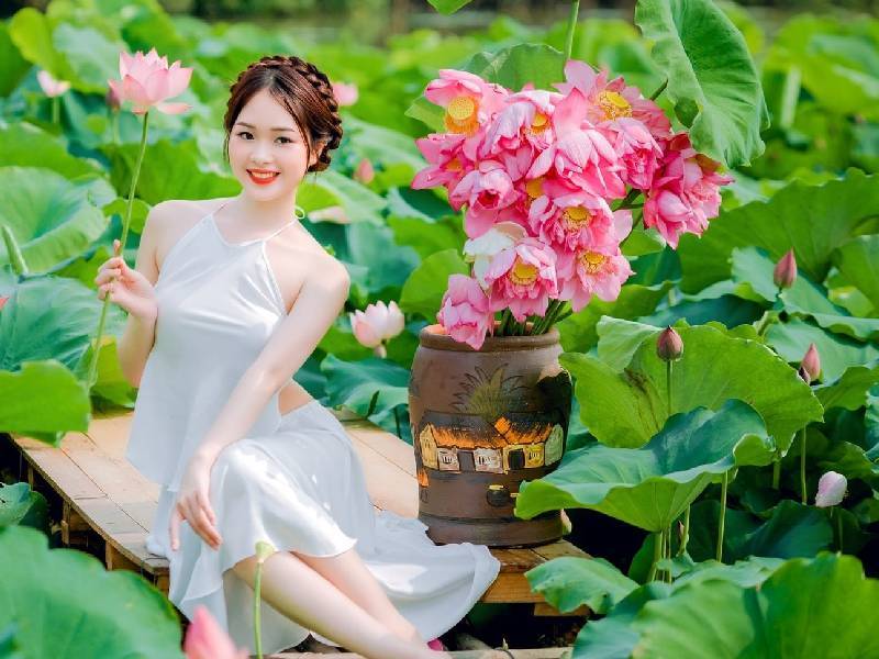 Hoa Sen Hà Nội Xuân Đỉnh