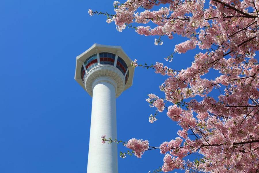 Tháp Busan là toạ độ ngắm cảnh đẹp nhất tại thành phố biển. 