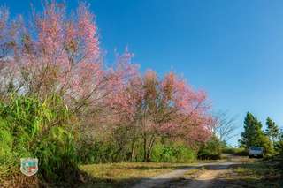 Sushi là gì? Top nhà hàng sushi tại Tokyo đáng ghé thăm
, Traveloka VN