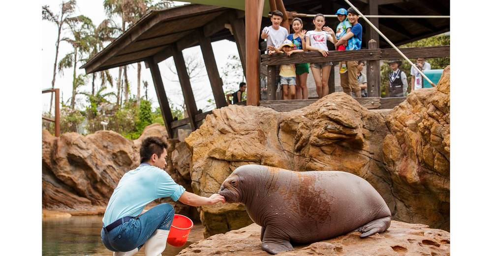 ชมโชว์พาเหรดและการแสดงกลางแจ้ง