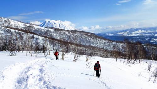 นิเซโกะ (Niseko)
