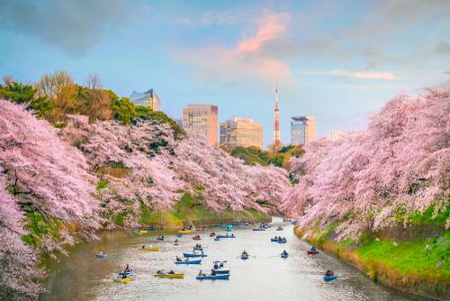 โตเกียว (Tokyo)