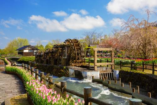 โทยามะ (Toyama)