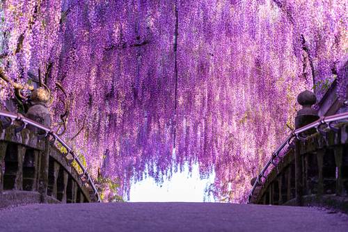 ฟุกุโอกะ (Fukuoka) 