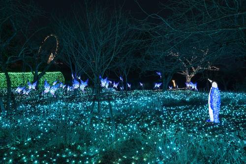 คานากาว่า (Kanagawa)