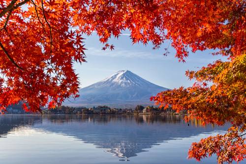 ชิซึโอกะ (Shizuoka)