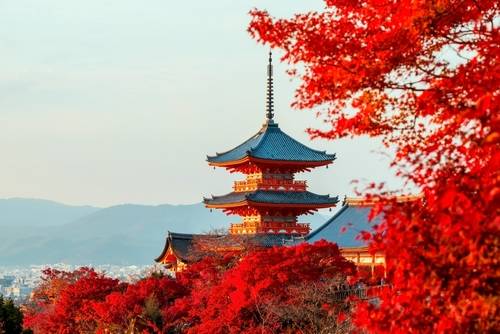 เกียวโต (Kyoto)