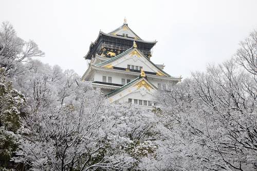 โอซาก้า (Osaka)