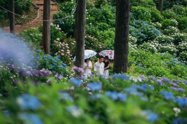 Sky Garden และโซนถ่ายภาพ