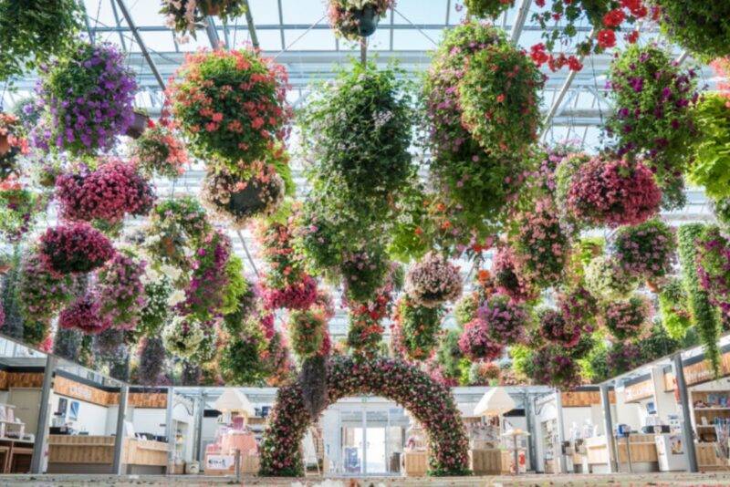 Sky Garden และโซนถ่ายภาพ