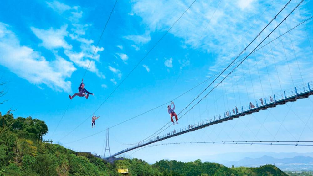 เล่น Zipline โหนสลิงข้ามป่า