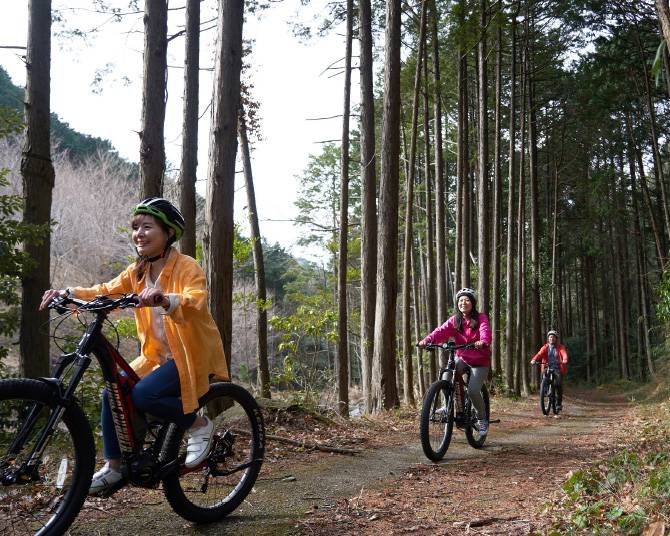 เดินป่า Sky Nature Trail