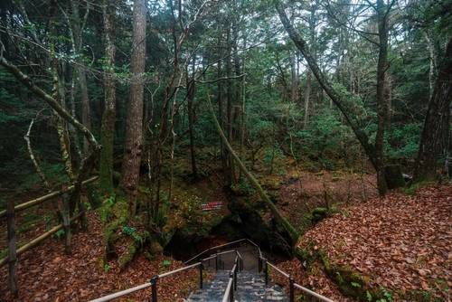 ถ้ำลมฟุกาคุ (Fugaku Wind Cave)