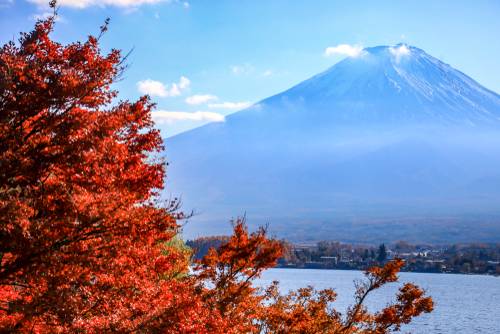 วิวภูเขาไฟฟูจิคู่กับใบไม้แดง