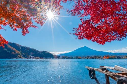 การเดินเล่นริมทะเลสาบคาวากูจิโกะ