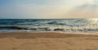 Daftar Pantai di Sidoarjo dengan Pemandangan Menawan, Mas Bellboy
