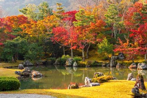 วัดเทนริวจิ (Tenryu-ji Temple)