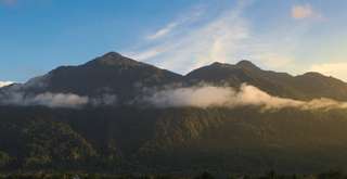 Mengenal Pegunungan Cycloop, Surga Alam dan Sumber Kehidupan di Papua, 4 min read