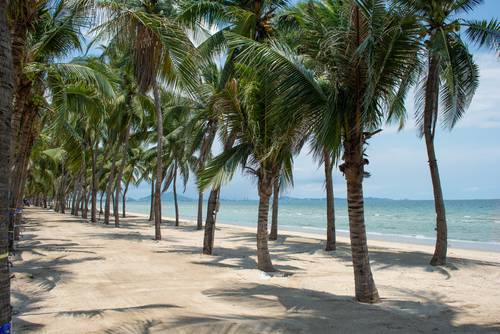 หาดบางแสน (โซนใกล้อ่างศิลา)