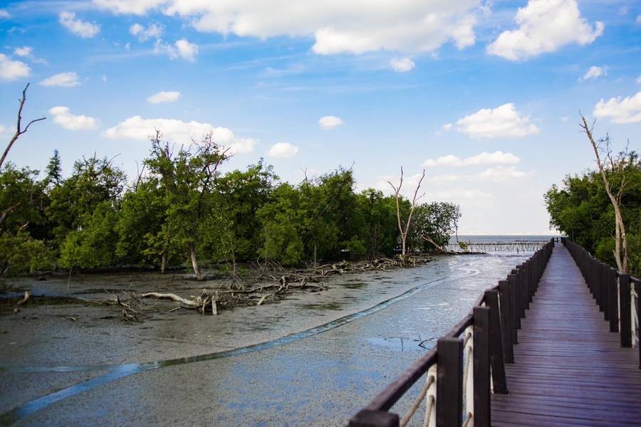 ศูนย์ศึกษาธรรมชาติและอนุรักษ์ป่าชายเลนเพื่อการท่องเที่ยวเชิงนิเวศ