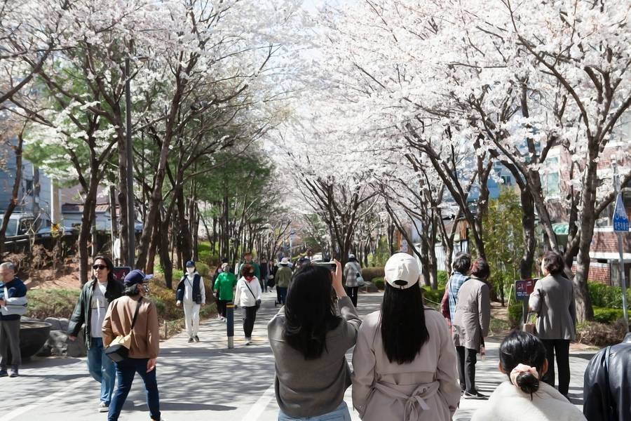 Người dân nô nức ngắm hoa xuân tại công viên Gyeongui Line Forest. 
