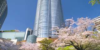 Roppongi Hills: Thiên đường mua sắm và giải trí số 1 ở Tokyo, Traveloka VN