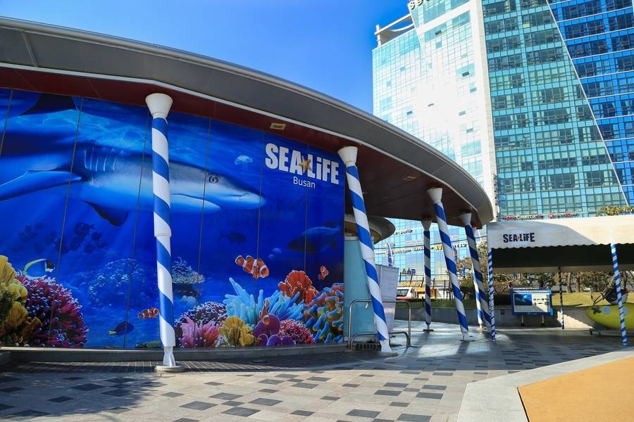 SEA LIFE Aquarium là toạ độ vui chơi đáng trải nghiệm trong chuyến du lịch Busan. 
