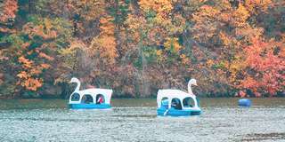 Khám phá Gapyeong: Điểm hẹn nghỉ dưỡng lý tưởng gần Seoul, Traveloka VN