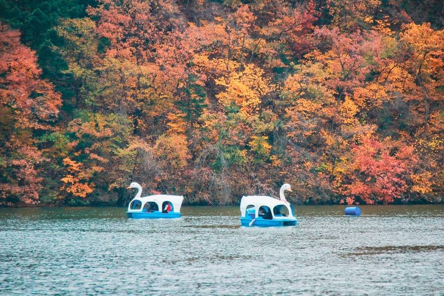 Mùa thu là thời điểm thích hợp để trải nghiệm các hoạt động ngoài trời ở Gapyeong